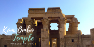 Read more about the article Egypt ⛵️ Nile Cruise – Kom Ombo and Edfu