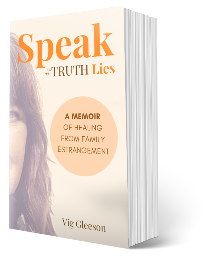 Book Cover of Speak #TRUTH Lies a memoir of helping from family estrangement by   Vig Gleeson author and brand photographer Limerick Ireland 