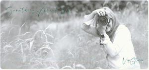 Photographer with canaon camera shooting in an Irish field | Vig Gleeson personal brand photography | Limerick