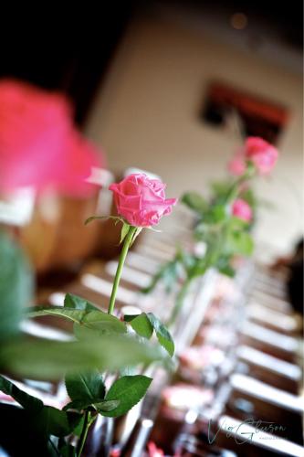 The Limerick Rose at The George | Table setting with pink roses | EVENT PHOTOGRAPHY | The George Restaurant and Hotel Limerick 